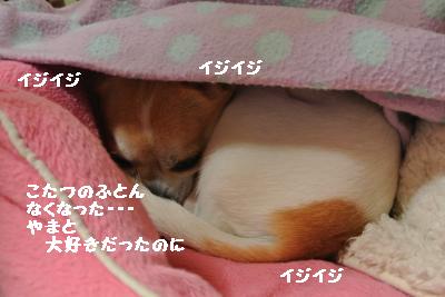 20130505+023_convert_20130505230148.jpg