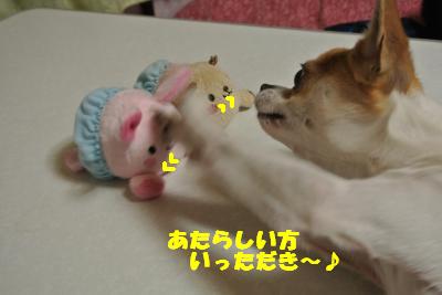 20130508+002_convert_20130508141647.jpg