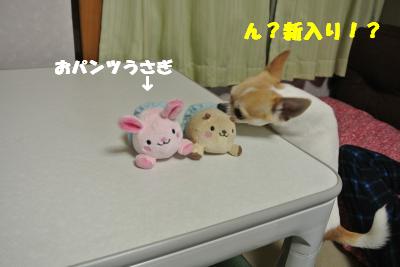 20130508+003_convert_20130508141624.jpg