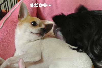 20130508+011_convert_20130508103156.jpg