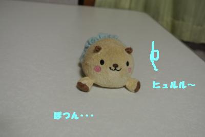 20130508+012_convert_20130508141722.jpg