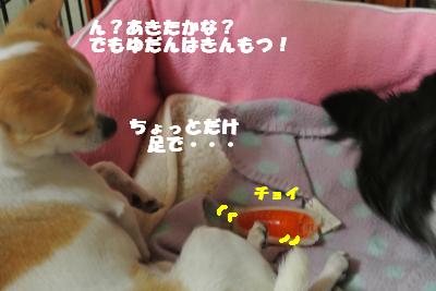 20130508+013_convert_20130508103231.jpg