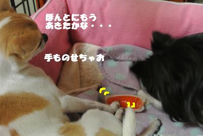 20130508+014_convert_20130508103423.jpg