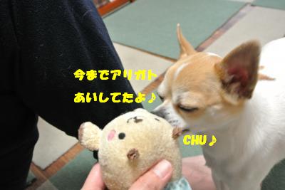 20130508+016_convert_20130508141753.jpg