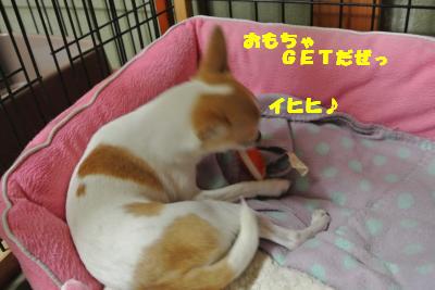 20130508+020_convert_20130508103518.jpg