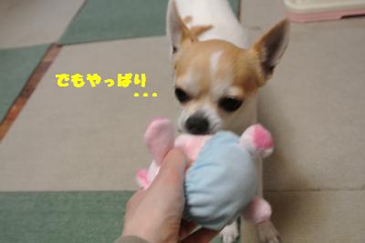 20130508+024_convert_20130508141904.jpg