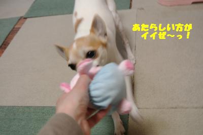 20130508+025_convert_20130508141931.jpg