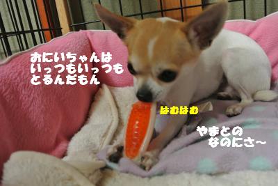 20130508+027_convert_20130508103637.jpg