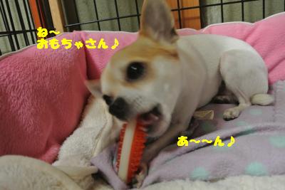 20130508+031_convert_20130508105700.jpg