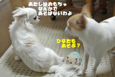 20130510+005_convert_20130510110641.jpg