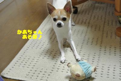 20130510+006_convert_20130510105605.jpg