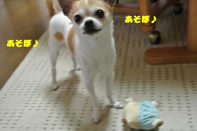 20130510+007_convert_20130510105732.jpg