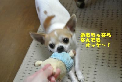 20130510+008_convert_20130510105953.jpg
