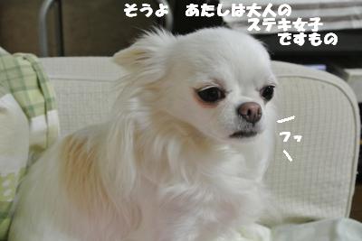 20130510+009_convert_20130510110128.jpg