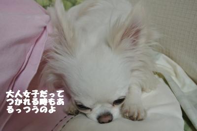 20130510+013_convert_20130510110155.jpg