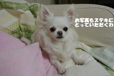 20130510+014_convert_20130510110250.jpg