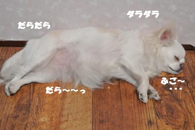 20130510+019_convert_20130510111532.jpg