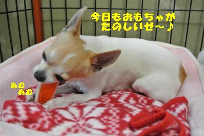 20130511+002_convert_20130511092556.jpg