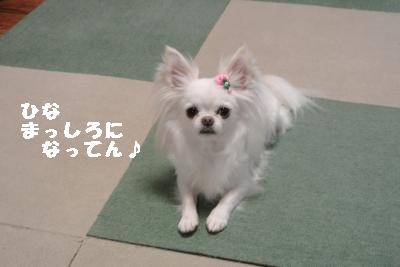 20130511+002_convert_20130511204442.jpg