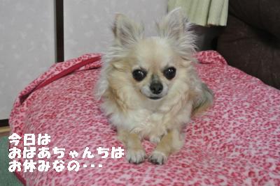 20130511+004_convert_20130511092237.jpg