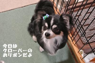 20130511+008_convert_20130511204314.jpg