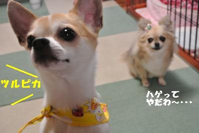 20130511+010_convert_20130511204633.jpg