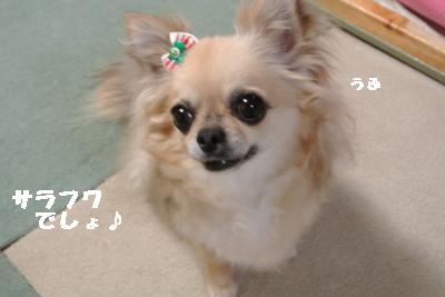 20130511+011_convert_20130511204513.jpg