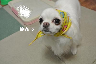 20130511+012_convert_20130511204842.jpg