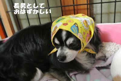 20130511+014_convert_20130511204721.jpg