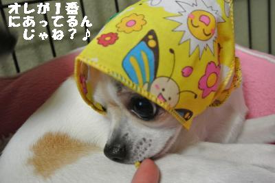 20130511+016_convert_20130511205108.jpg