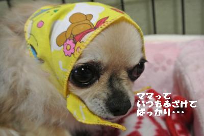 20130511+020_convert_20130511204757.jpg