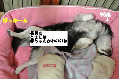 20130513+002_convert_20130514105223.jpg