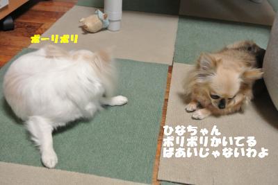 20130513+003_convert_20130513105519.jpg
