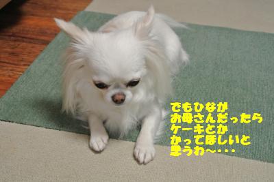 20130513+009_convert_20130513110433.jpg
