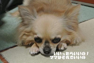 20130513+013_convert_20130513110630.jpg