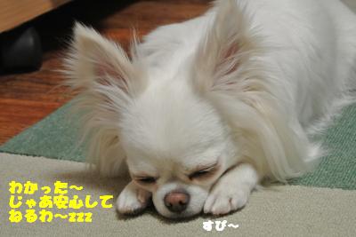 20130513+015_convert_20130513110537.jpg