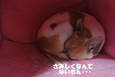 20130513+016_convert_20130513110746.jpg