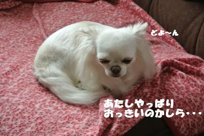 20130514+003_convert_20130514105139.jpg