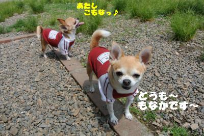 20130515+006_convert_20130516110724.jpg