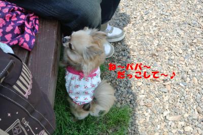 20130515+015_convert_20130520101259.jpg