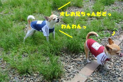20130515+017_convert_20130516111208.jpg