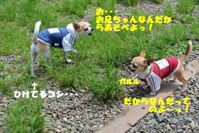 20130515+019_convert_20130516111256.jpg