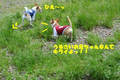 20130515+020_convert_20130516111404.jpg