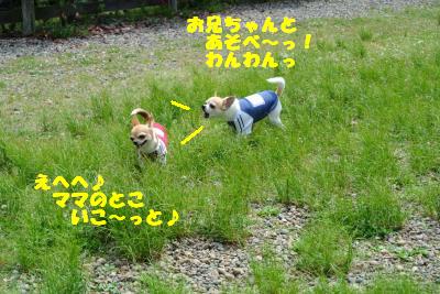 20130515+021_convert_20130516111330.jpg