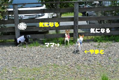 20130515+022_convert_20130520161738.jpg