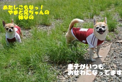 20130515+024_convert_20130516111044.jpg