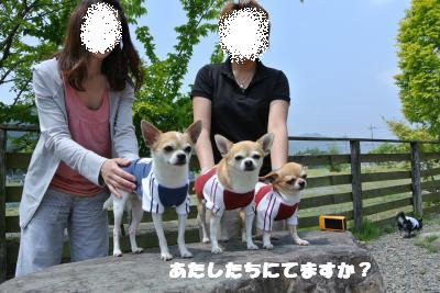 20130515+030_convert_20130517163946.jpg