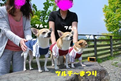 20130515+031_convert_20130516111808.jpg