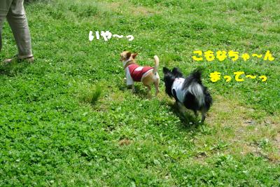 20130515+038_convert_20130520160513.jpg