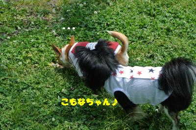 20130515+039_convert_20130520160545.jpg
